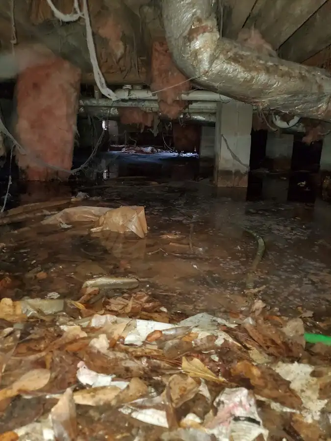 Crawl space flood assessment for Leak Detection & Repair in West Dundee